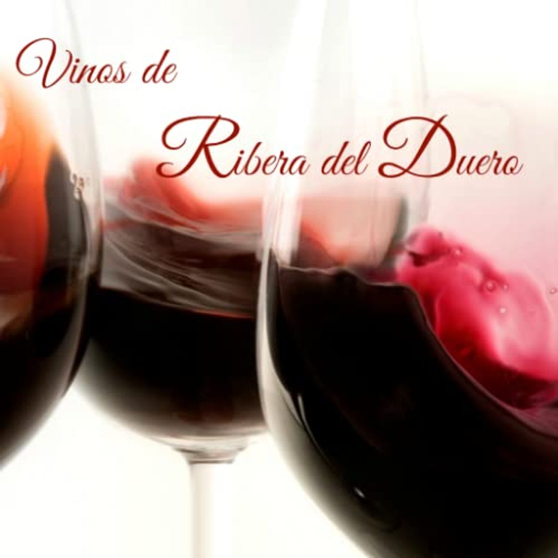 Producto Vinos Ribera del Duero