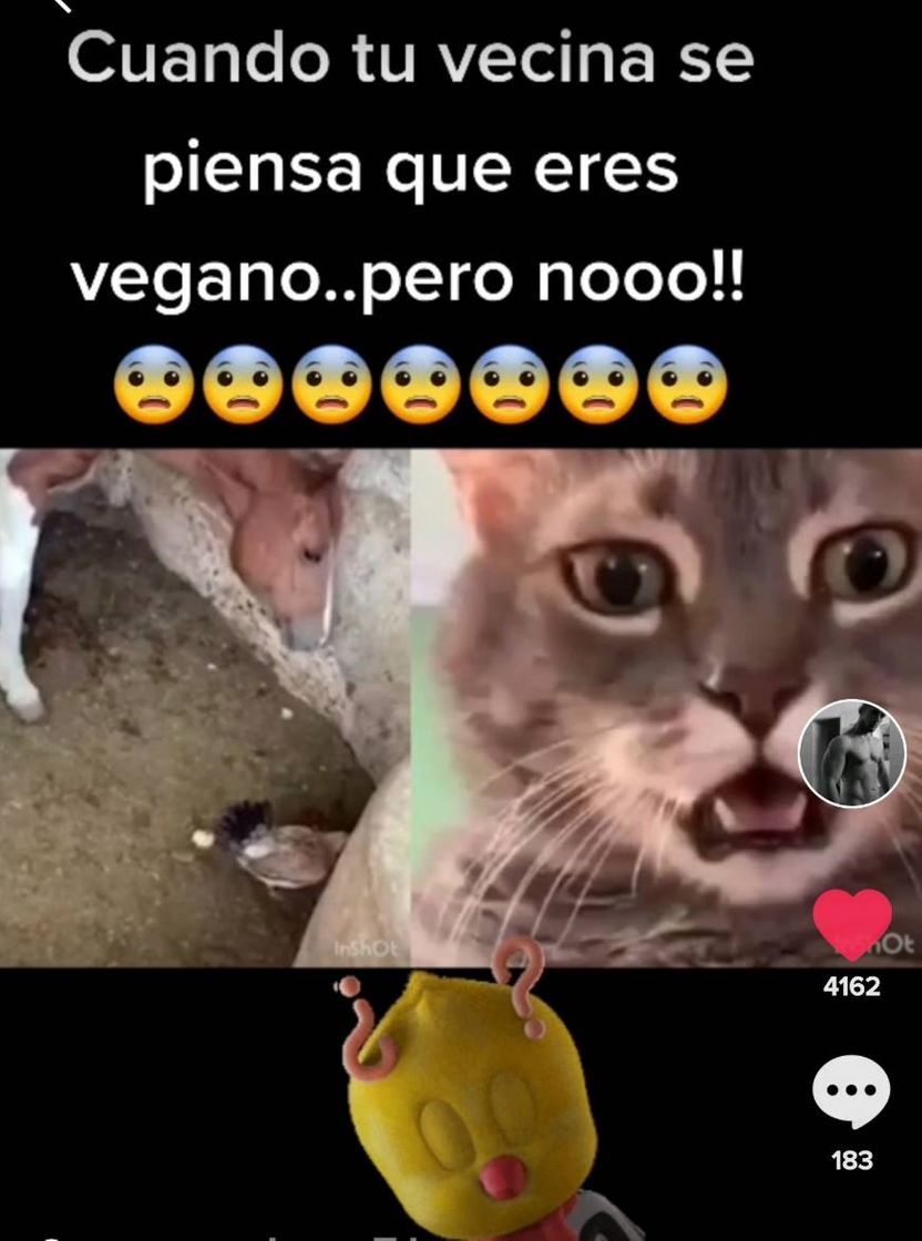 Fashion VIDEO DIVERTIDO DE TIKTOK😂😛😍