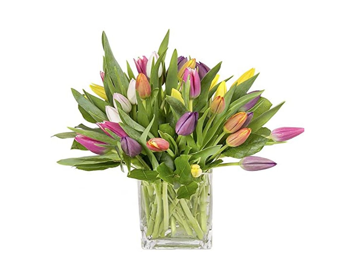 Social Florclick - Ramo de 15 Tulipanes con tarjeta dedicatoria gratuita
