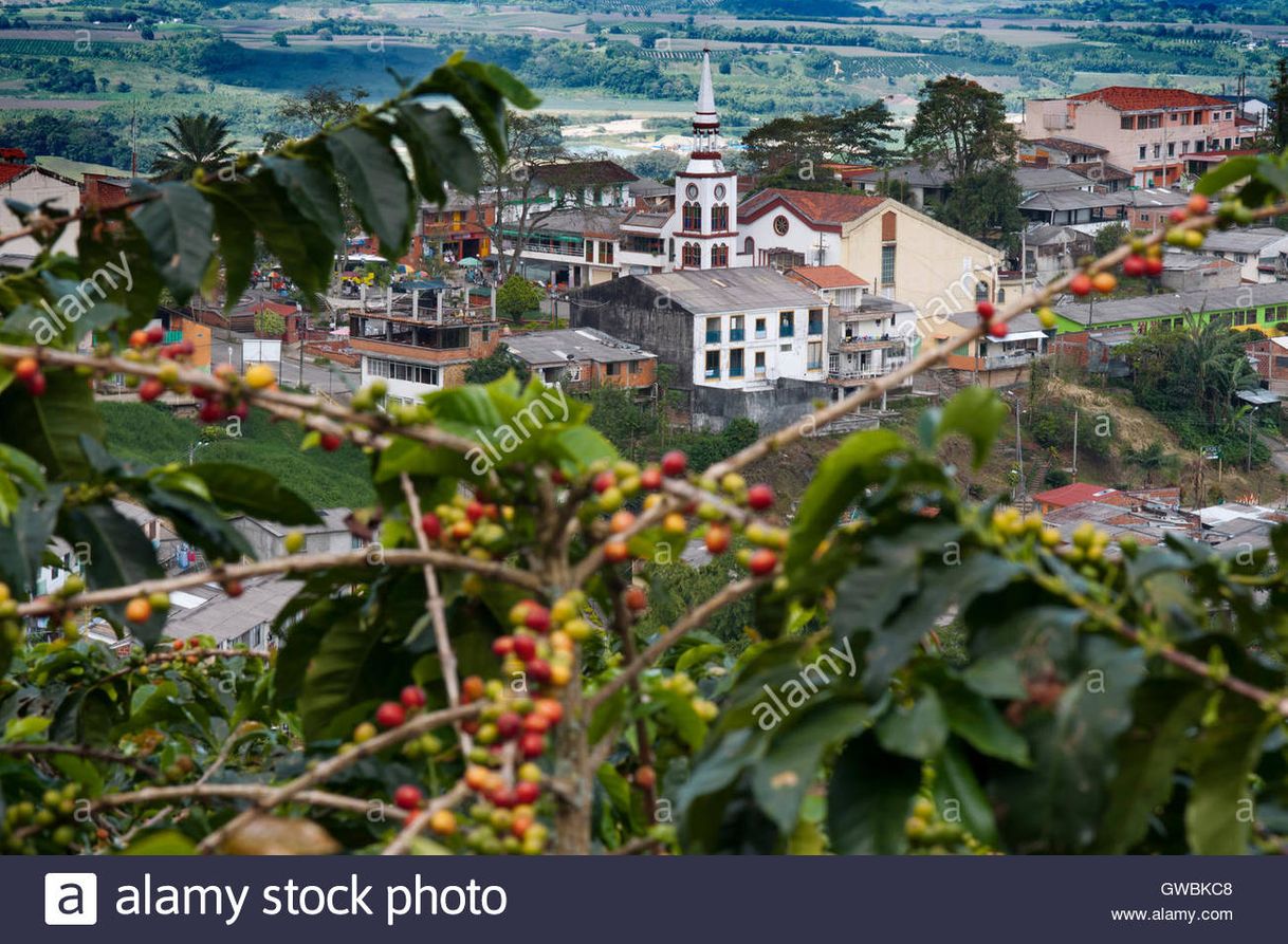 Lugar Quindío