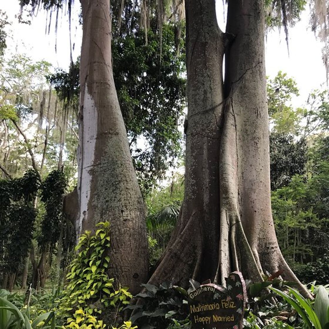 Lugar Parque El Gallineral