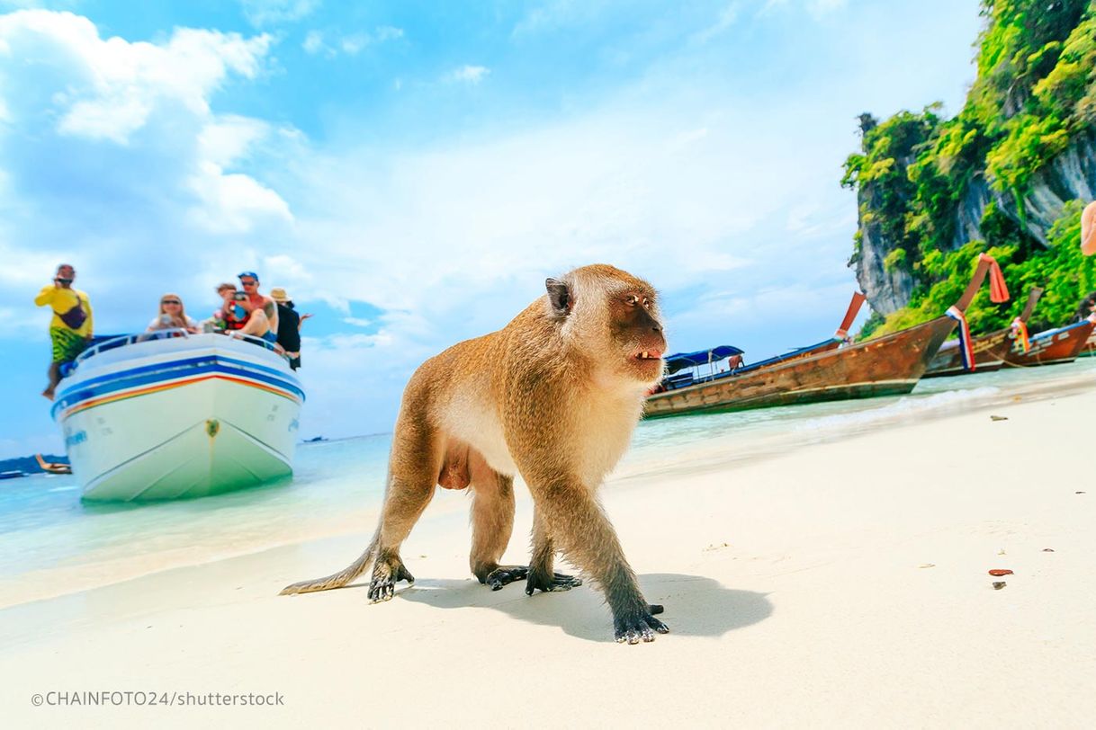 Lugar Monkey Beach