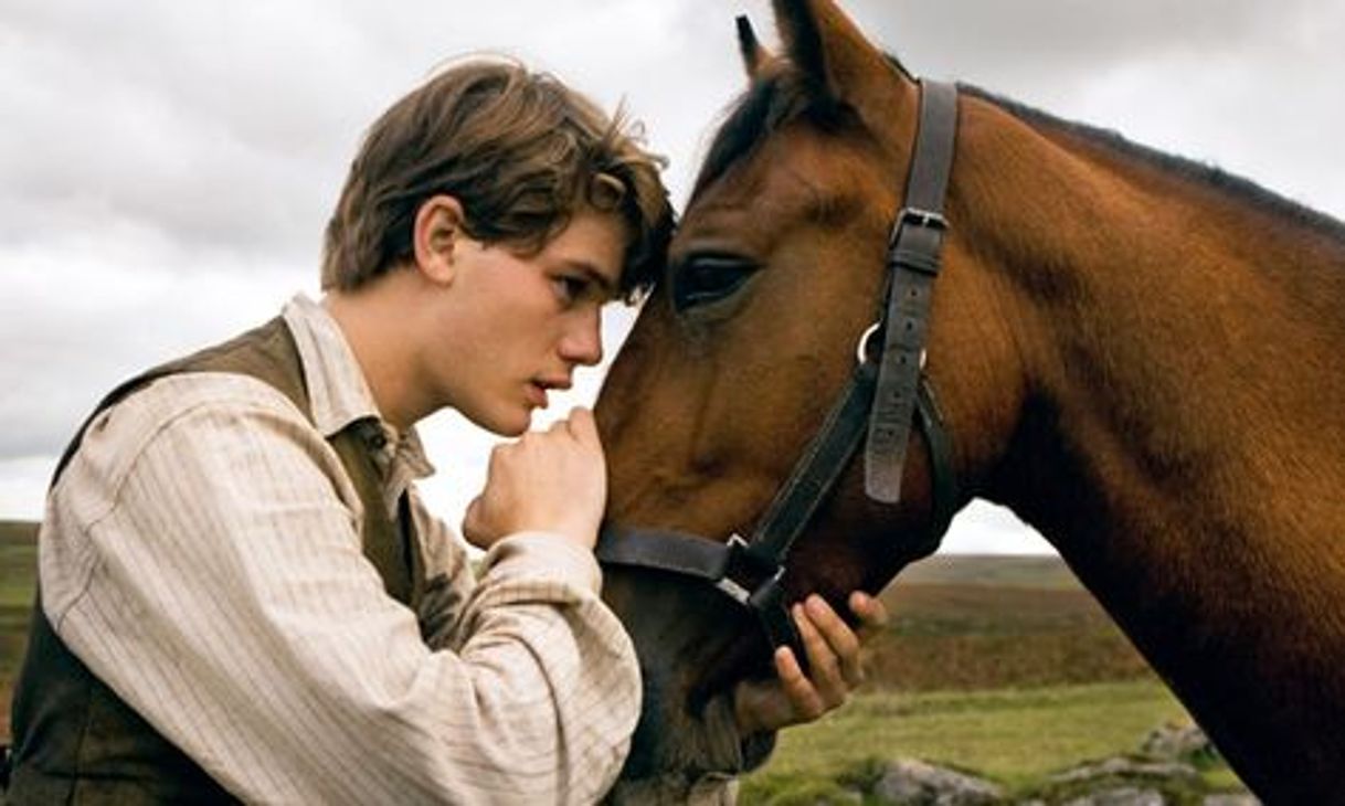 Movie War Horse (Caballo de batalla)