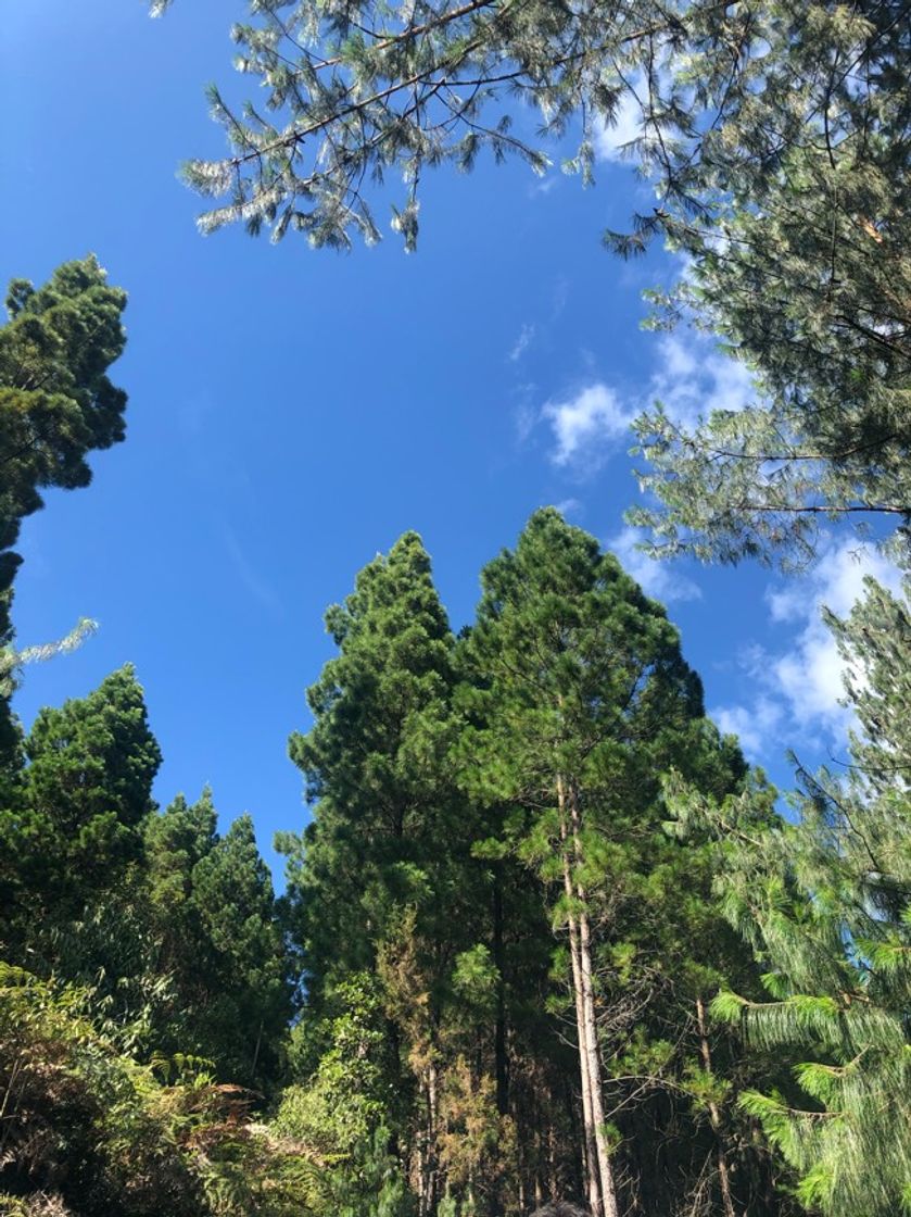 Lugar Medellín Colombia