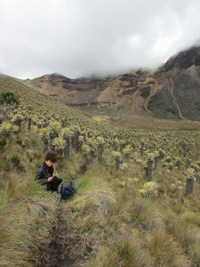 Places Expedicion Parque Nacional De Los Nevados