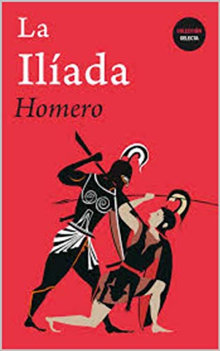 Libro ILÍADA