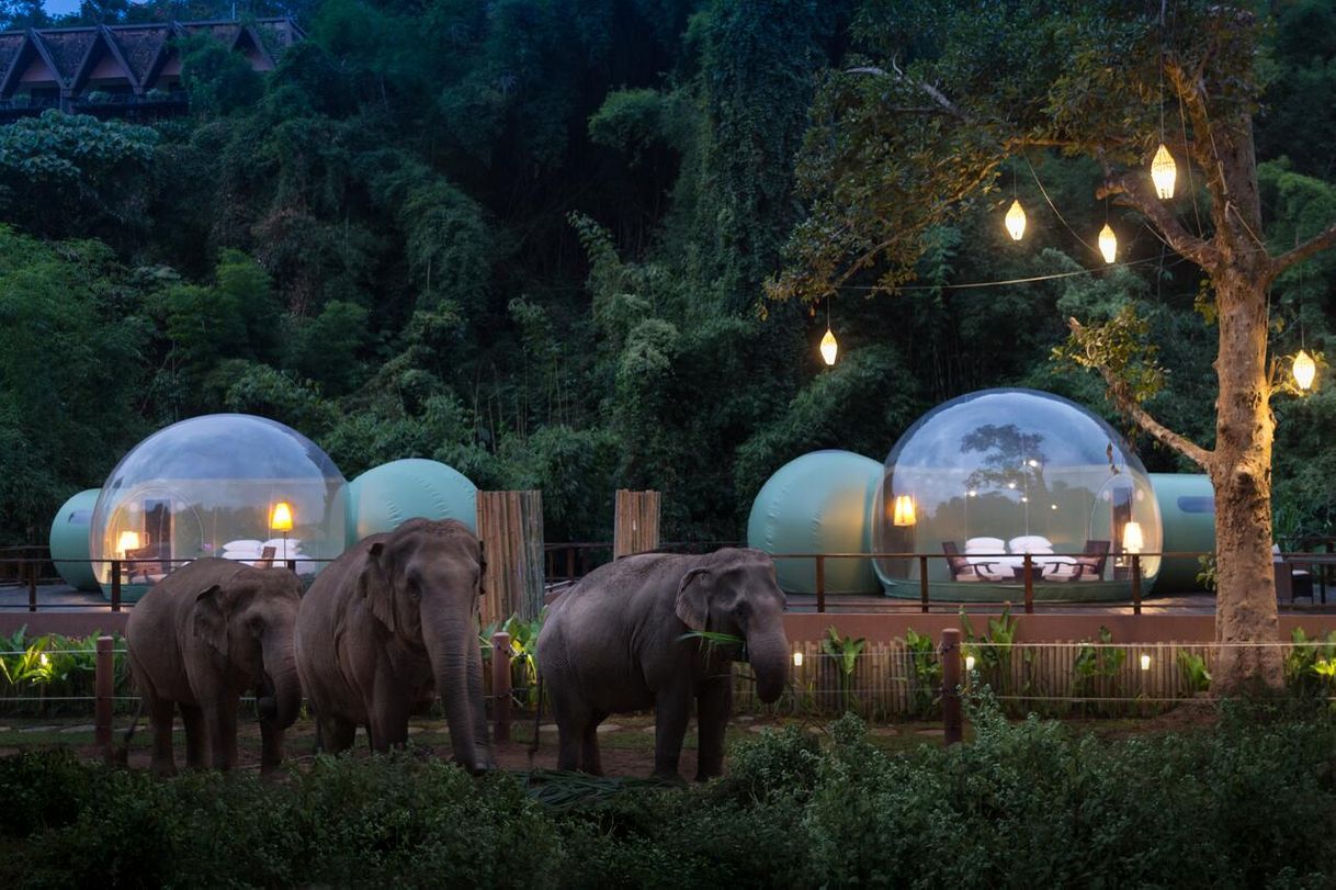 Lugar Anantara Golden Triangle Elephant Camp & Resort