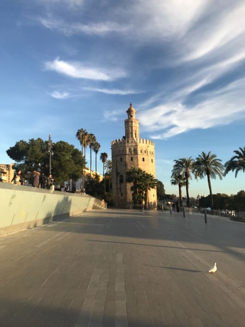 Place Torre del Oro