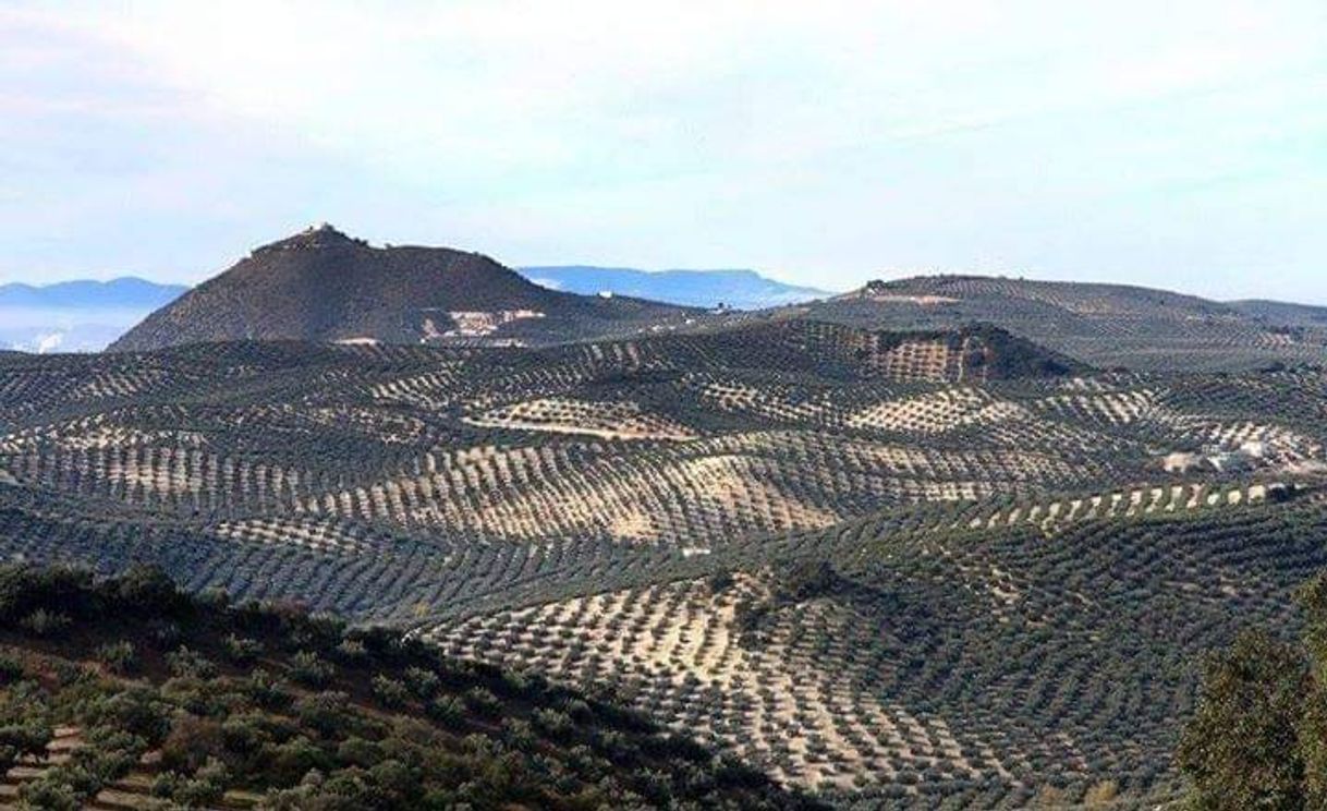 Place Sierra De Aras