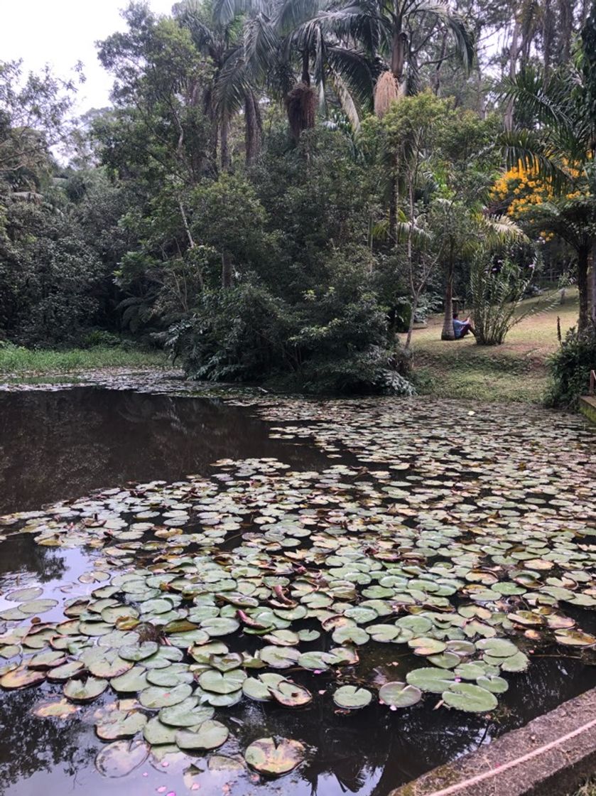 Lugares Parque Natural Municipal do Itaim