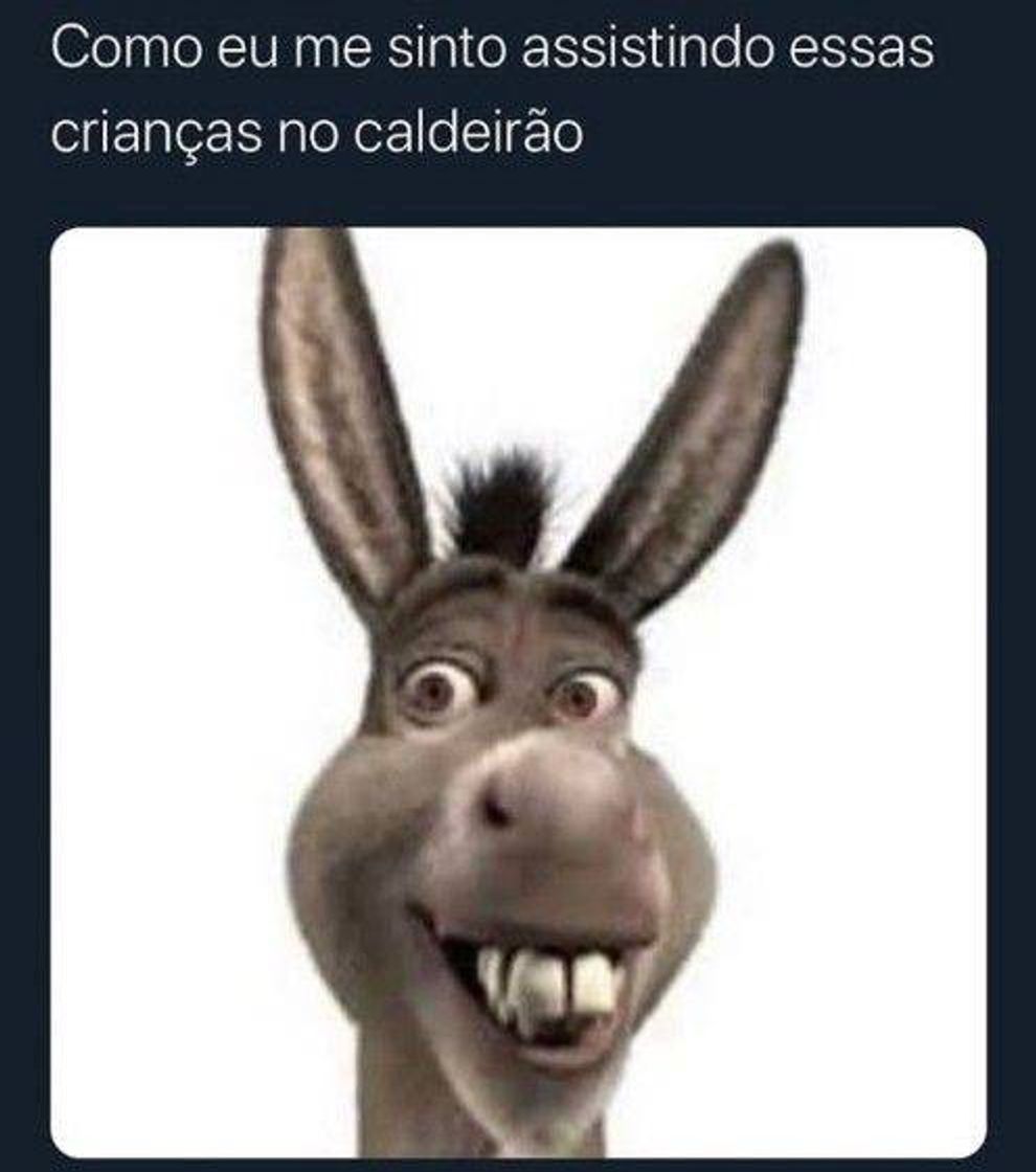 Moda Meme do burro 