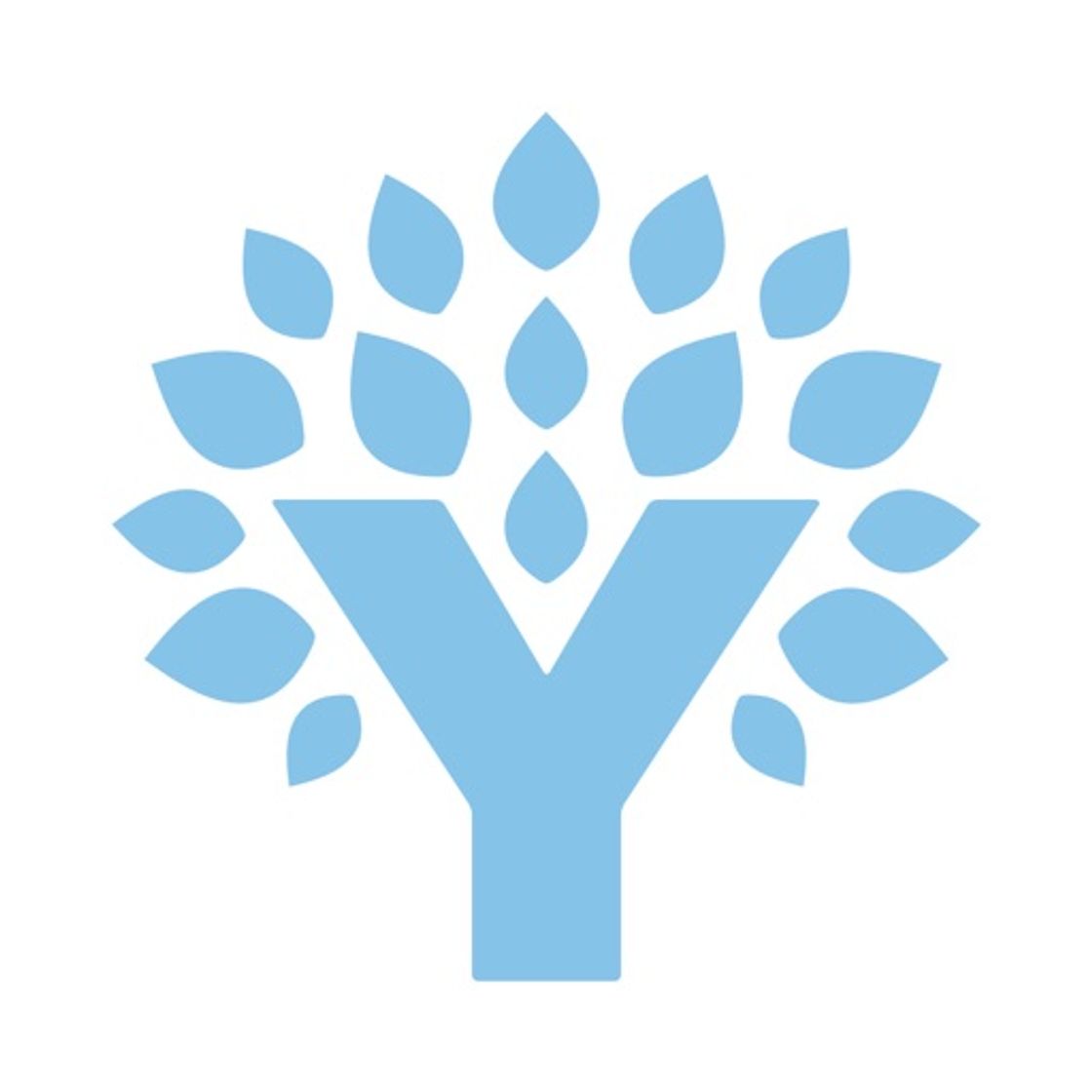 App YNAB (You Need A Budget)