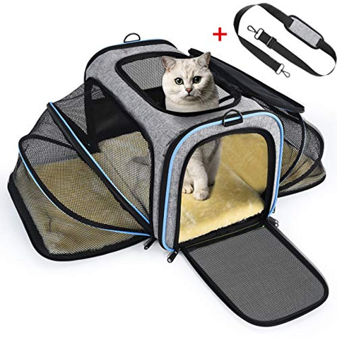 Productos OMORC Transportin Gato Perro