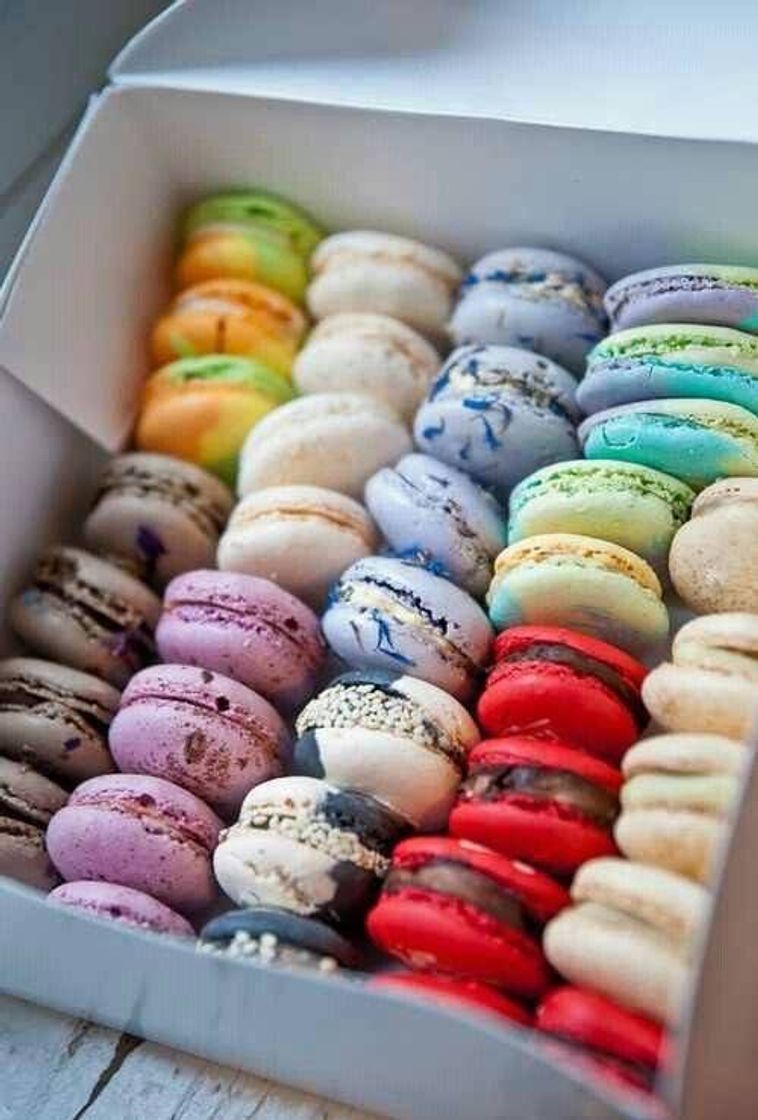 Moda Macarons