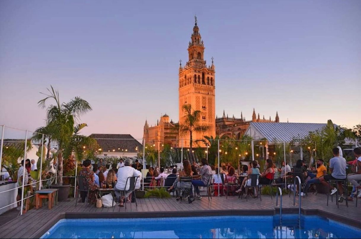 Restaurantes Pura Vida Terraza