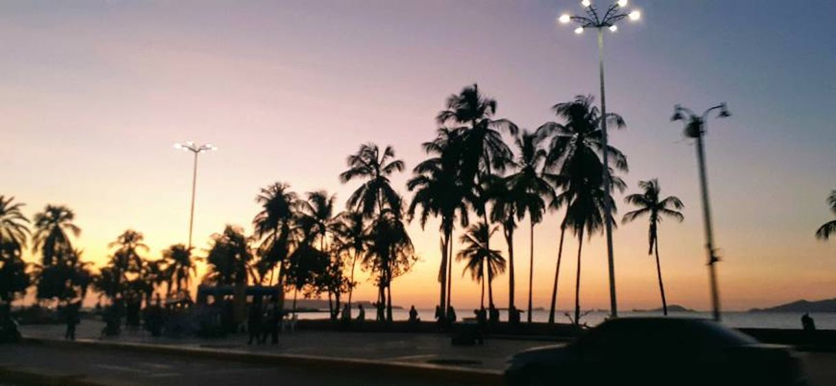 Place Paseo Colón