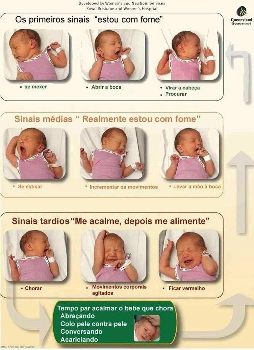 Social Amamentação