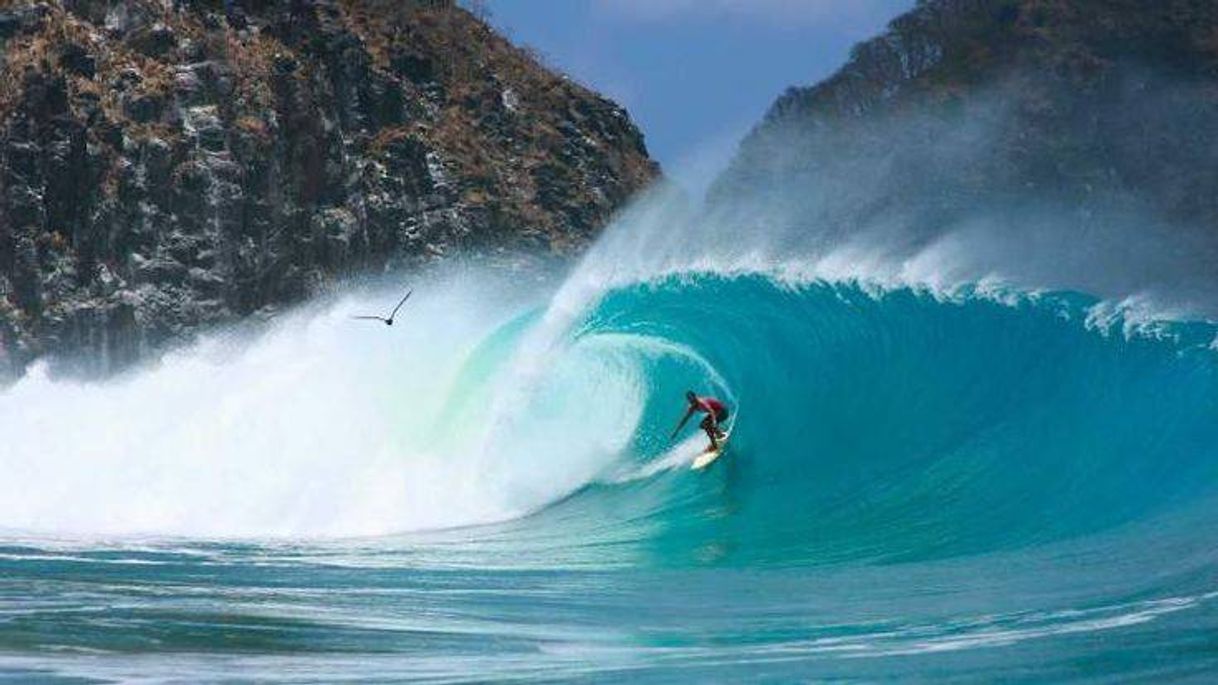 Lugar Noronha 350