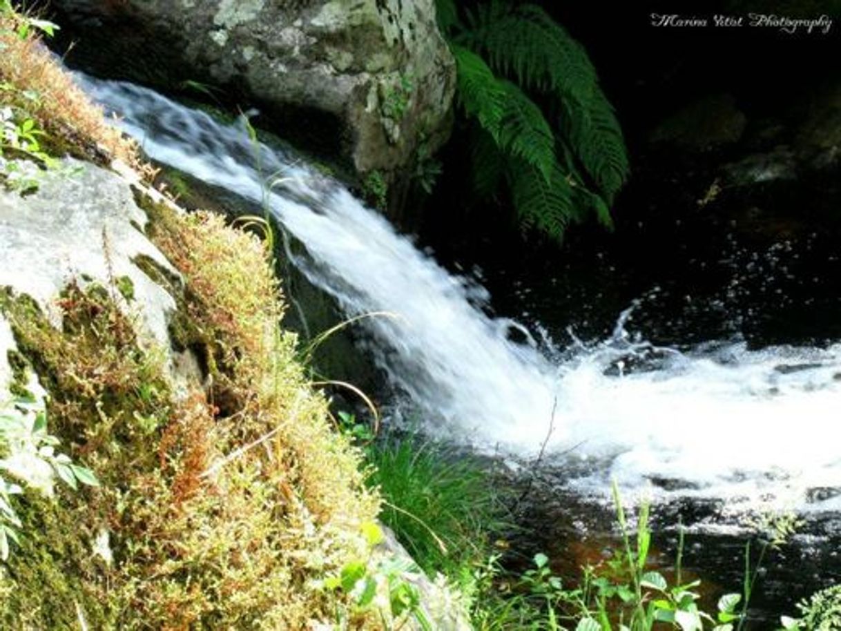 Social Cascata de São Lourenço em Chaves 