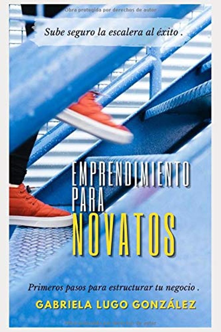 Libros EMPRENDIMIENTO PARA NOVATOS: PRIMEROS PASOS