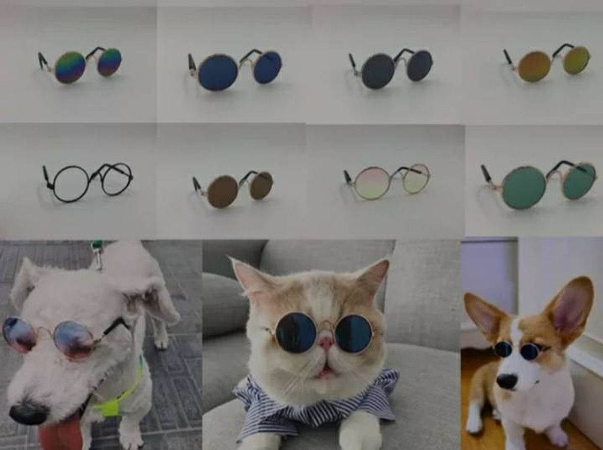 Fashion Lentes para tu mascota