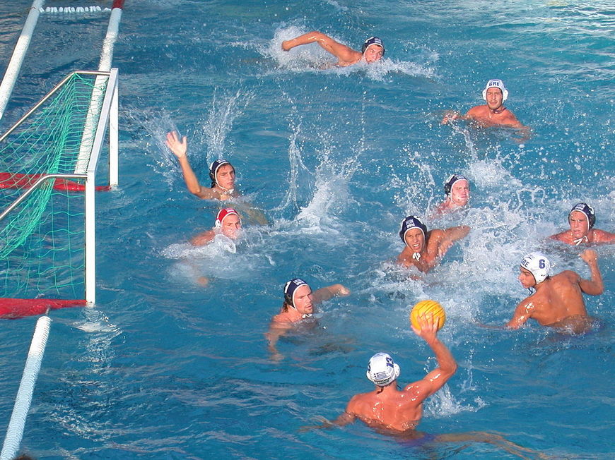 Fashion Waterpolo - Wikipedia, la enciclopedia libre