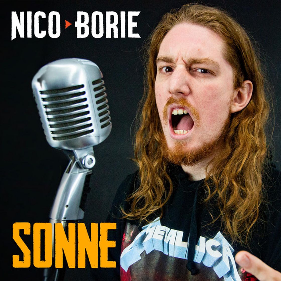 Canción Sonne