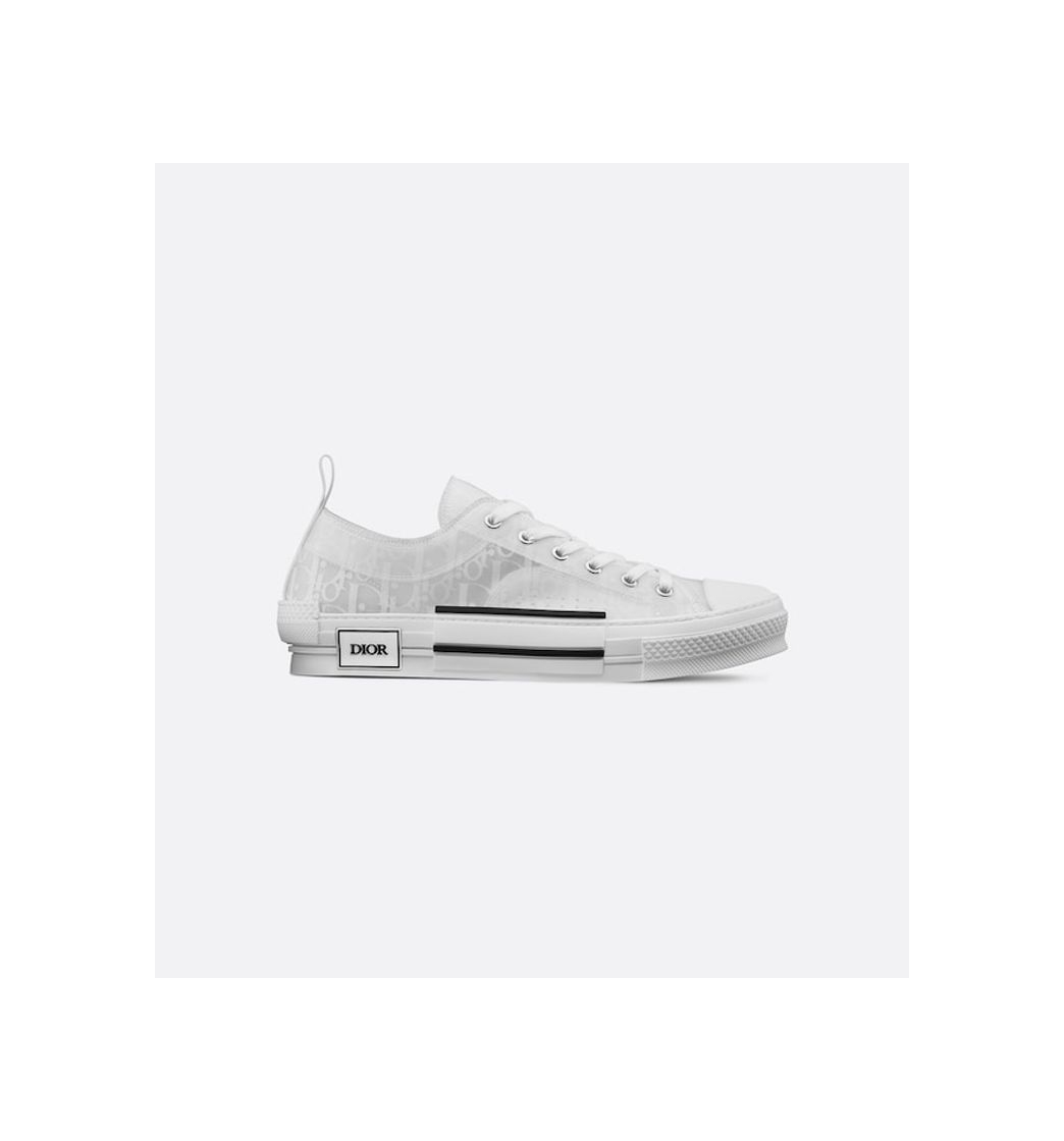 Fashion White Dior Oblique Canvas