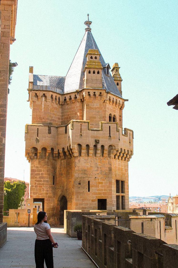 Place Palacio Real de Olite