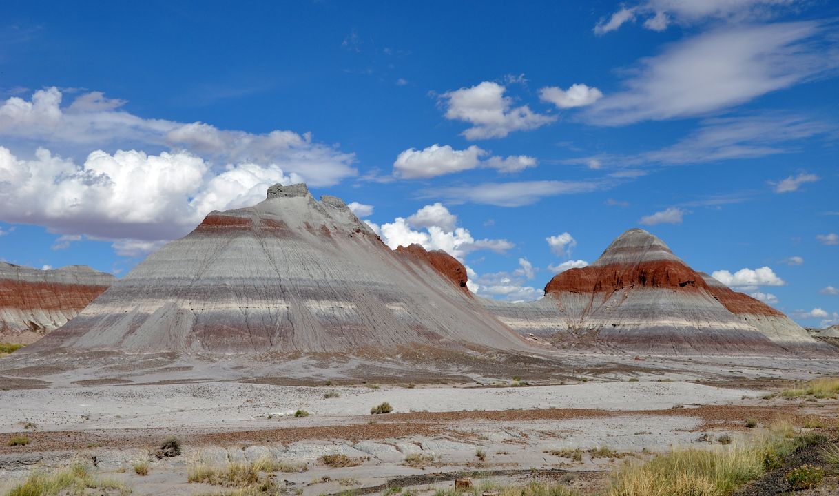 Lugar Petrified Forest National Park