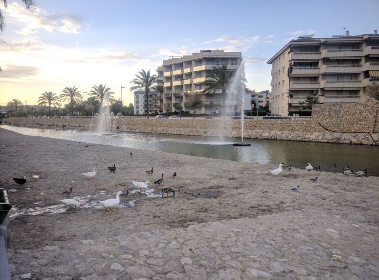 Place Estany Llarg