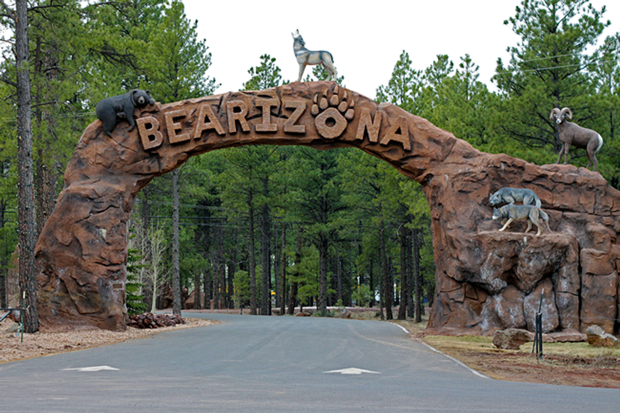 Lugar Bearizona Wildlife Park