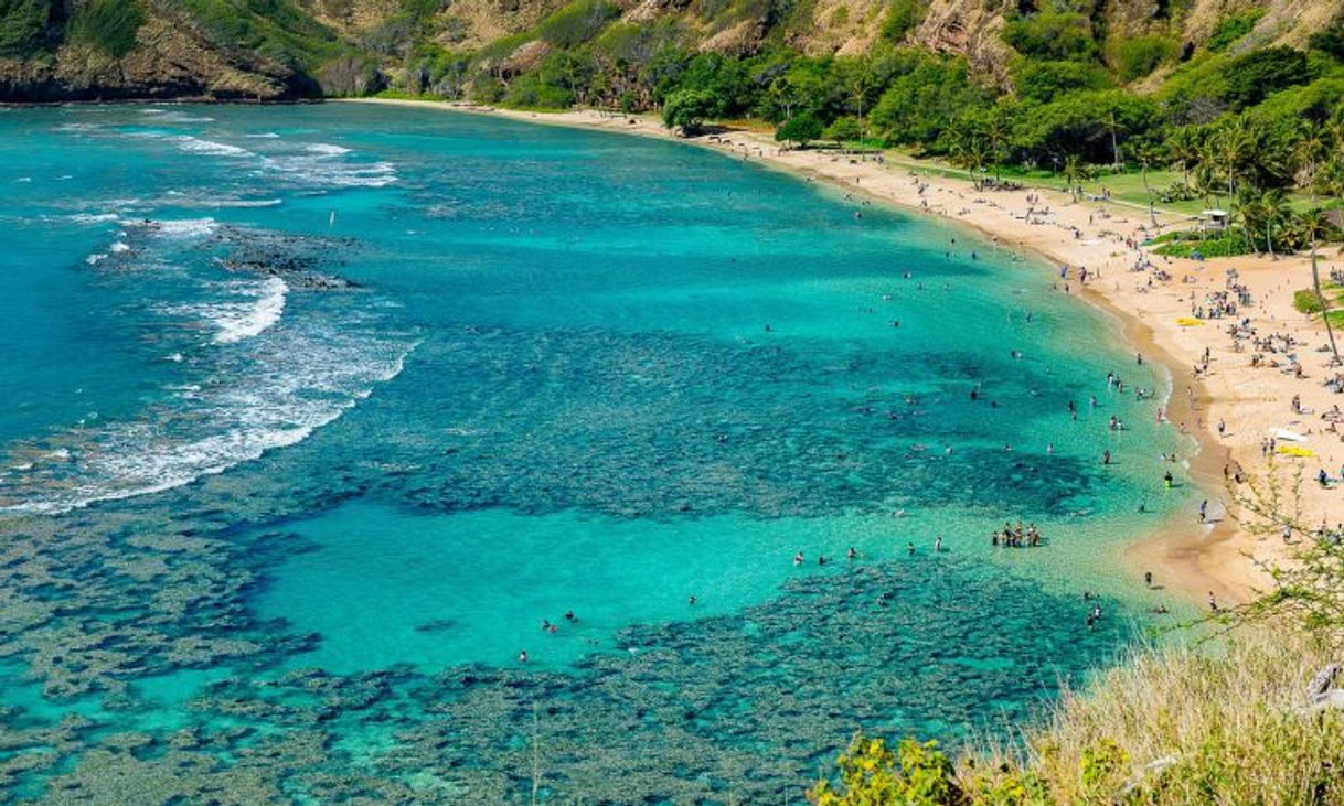 Lugar Hanauma Bay Nature Preserve