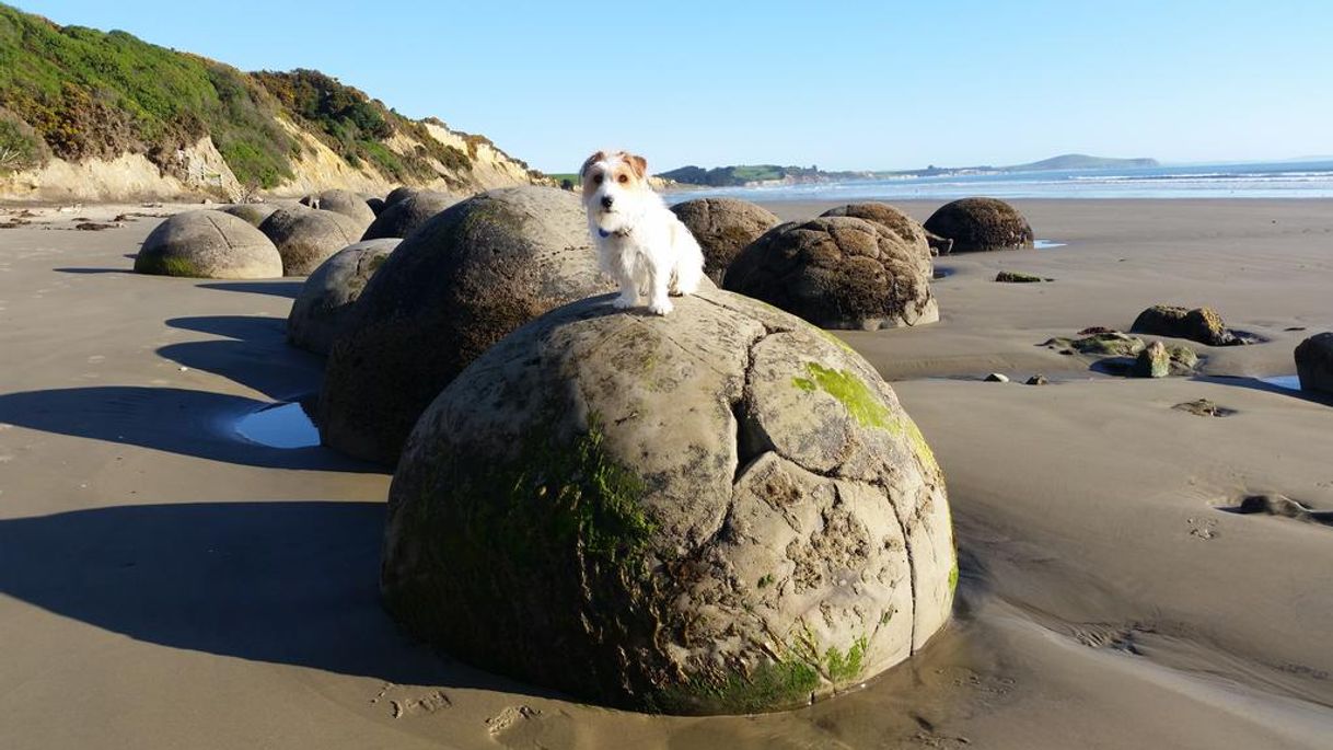 Lugar Moeraki Boulders Beach