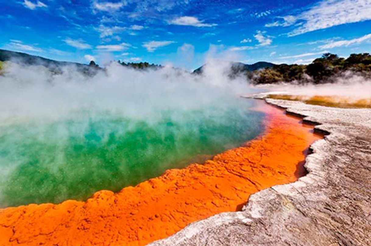 Place Rotorua