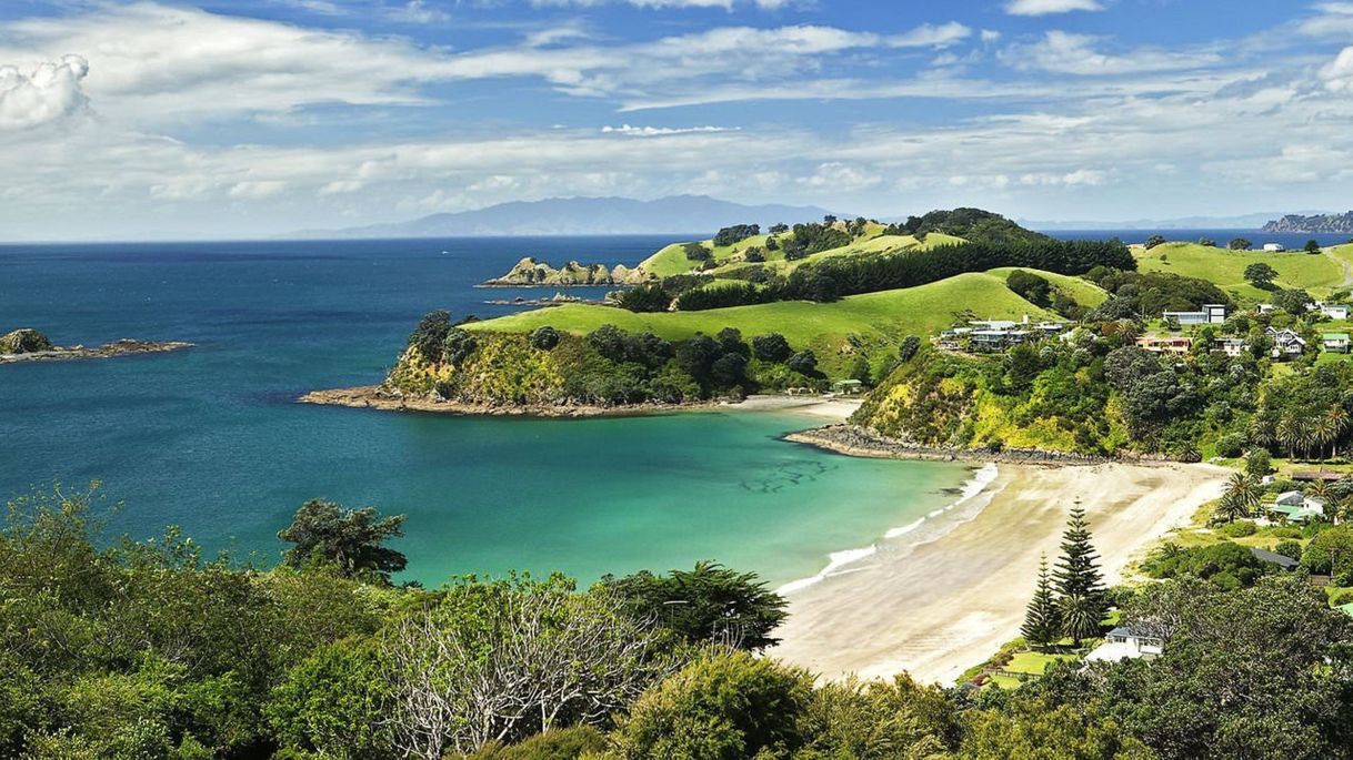 Restaurantes Waiheke Island