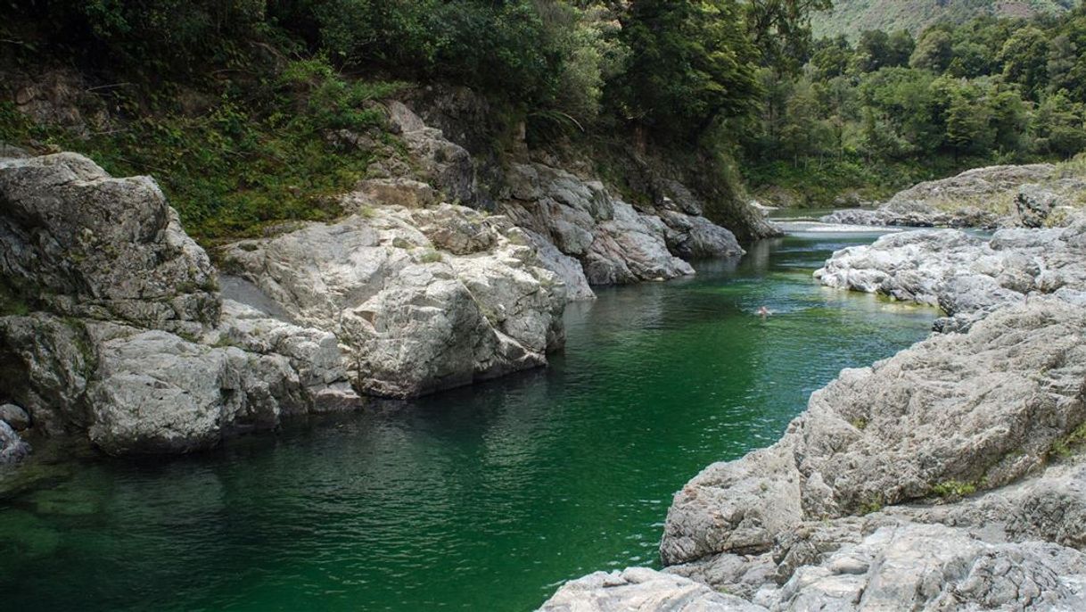 Lugar Pelorus River