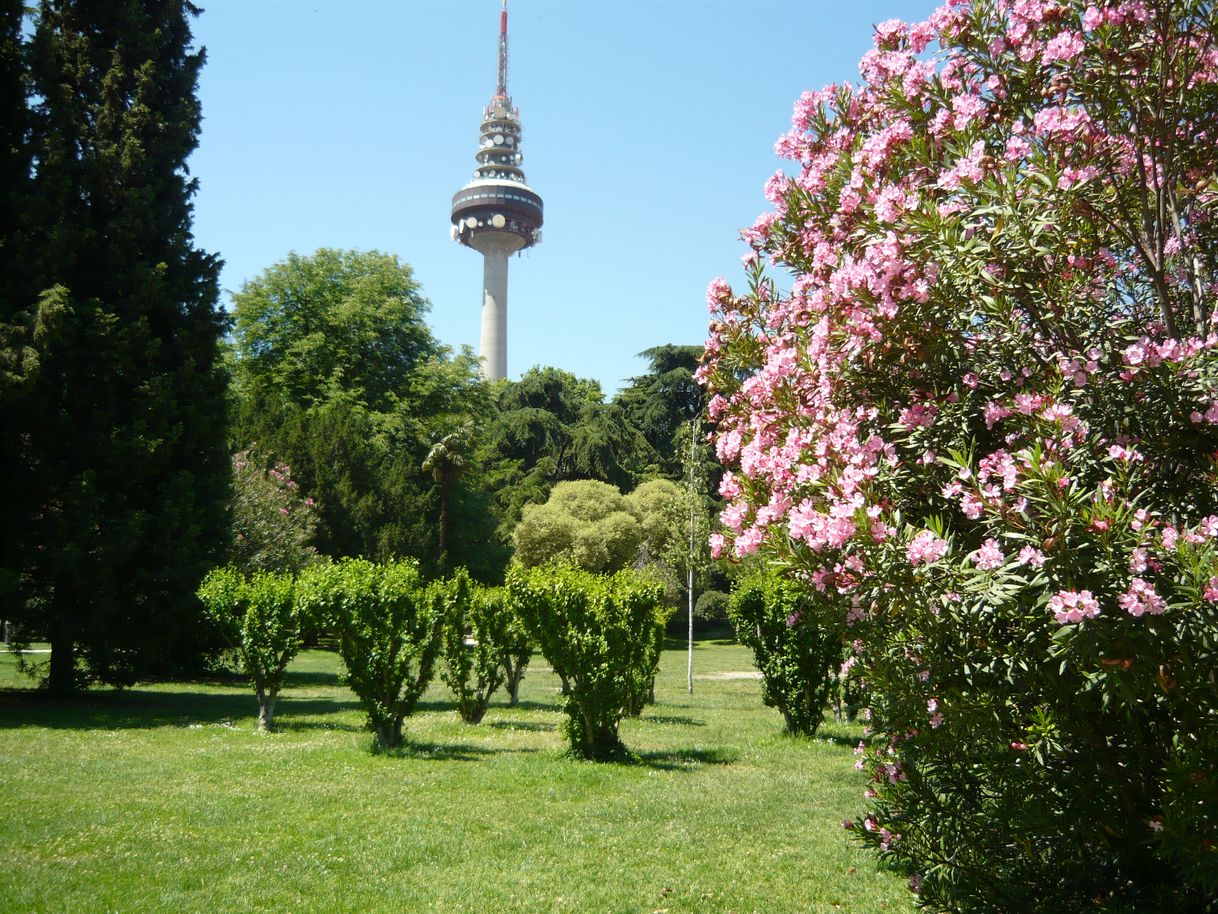 Lugar Fuente del Berro