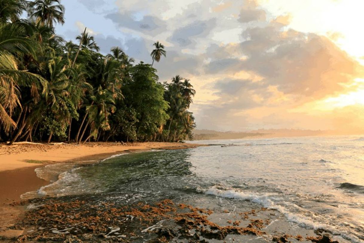 Place Gandoca Manzanillo National Wildlife Refuge