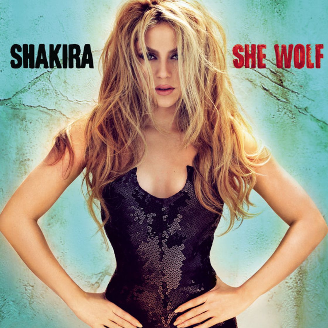 Canción She Wolf