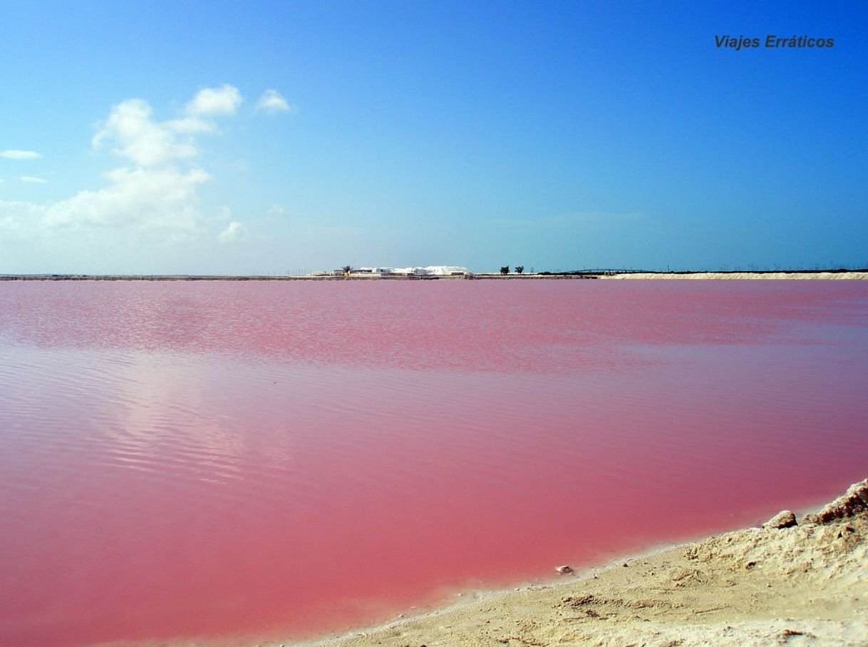 Lugar Salinera rosa