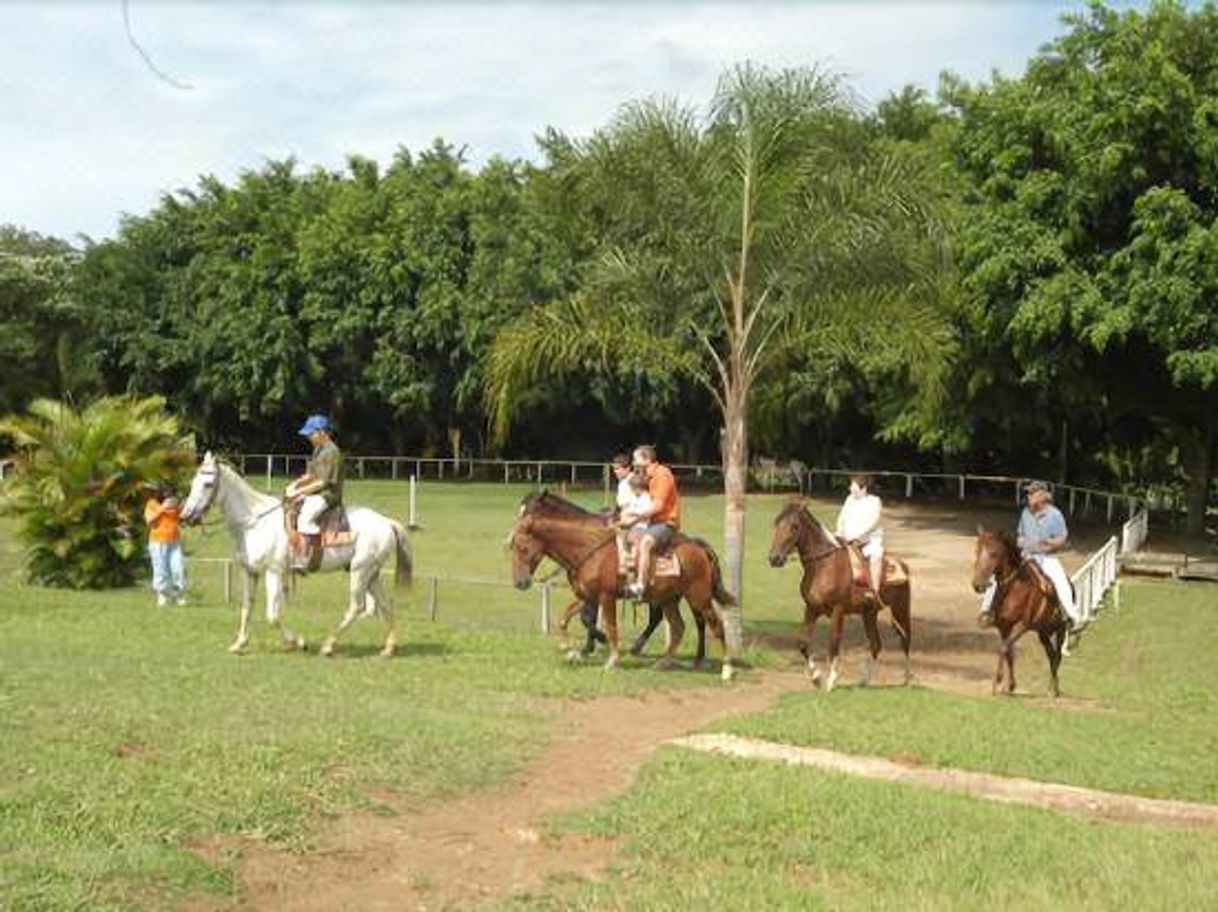 Place Hotel Fazenda Rancho Sete Lagos