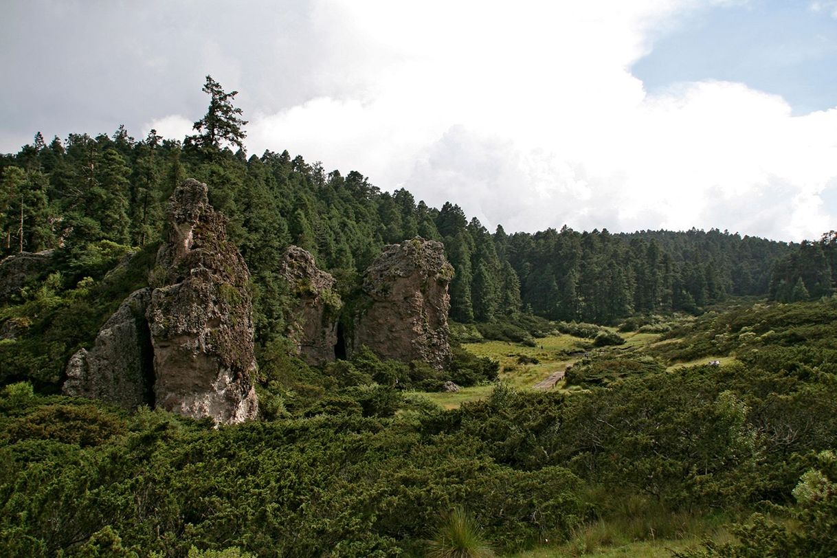 Place Parque Nacional El Chico