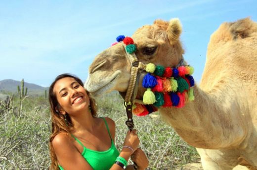 Paseo en Camello,Los Cabos💕