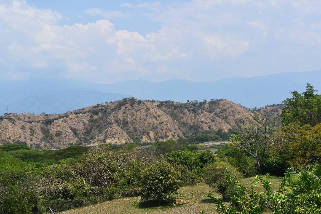 Places San Jerónimo