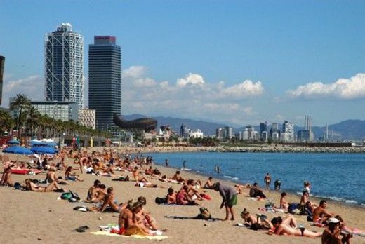 La Barceloneta