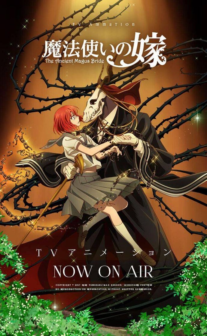 Moda The Ancient Magus Bride 