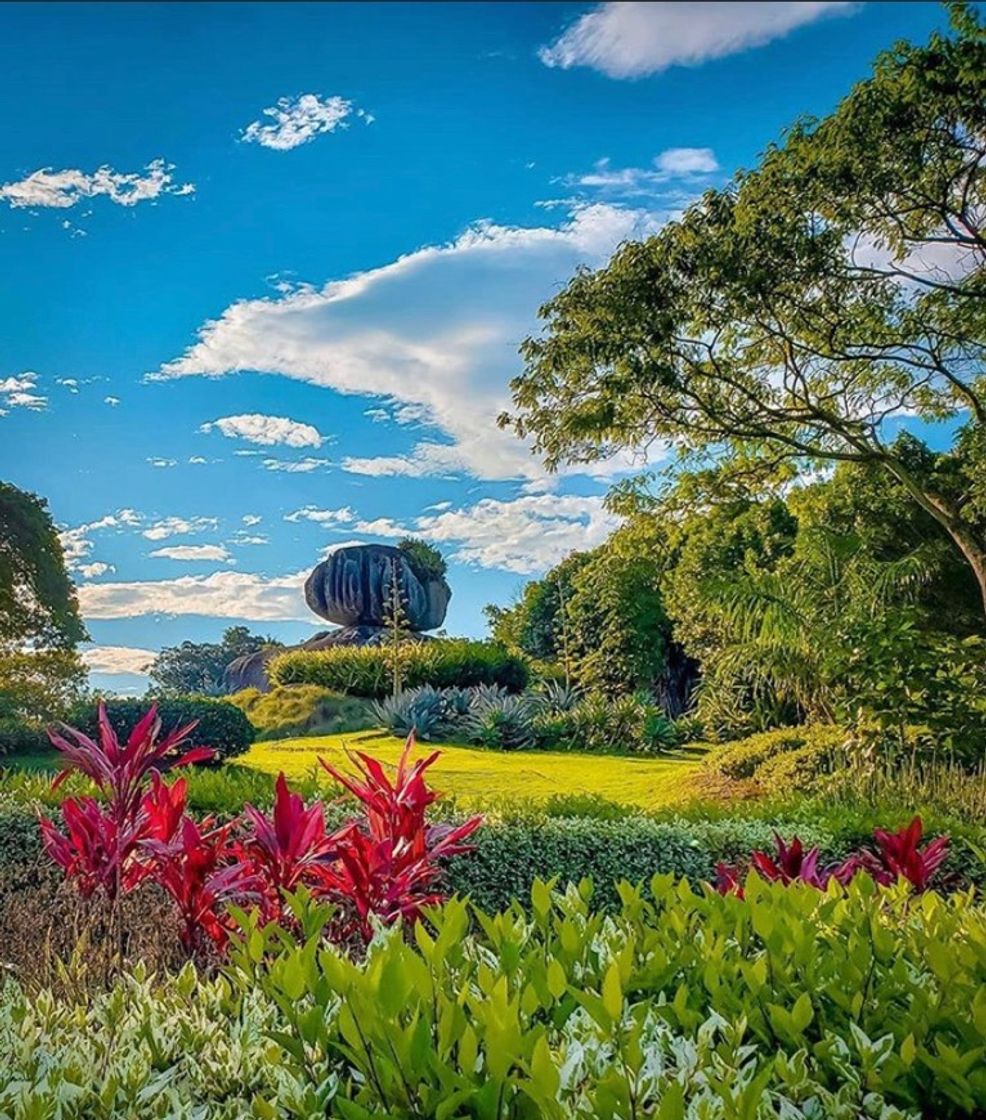 Place Parque Pedra da Cebola