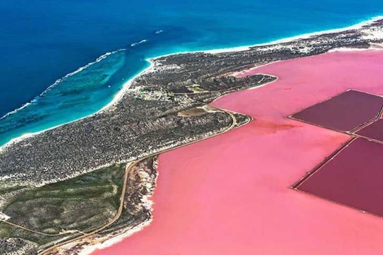 Lugar Laguna Salada de Torrevieja