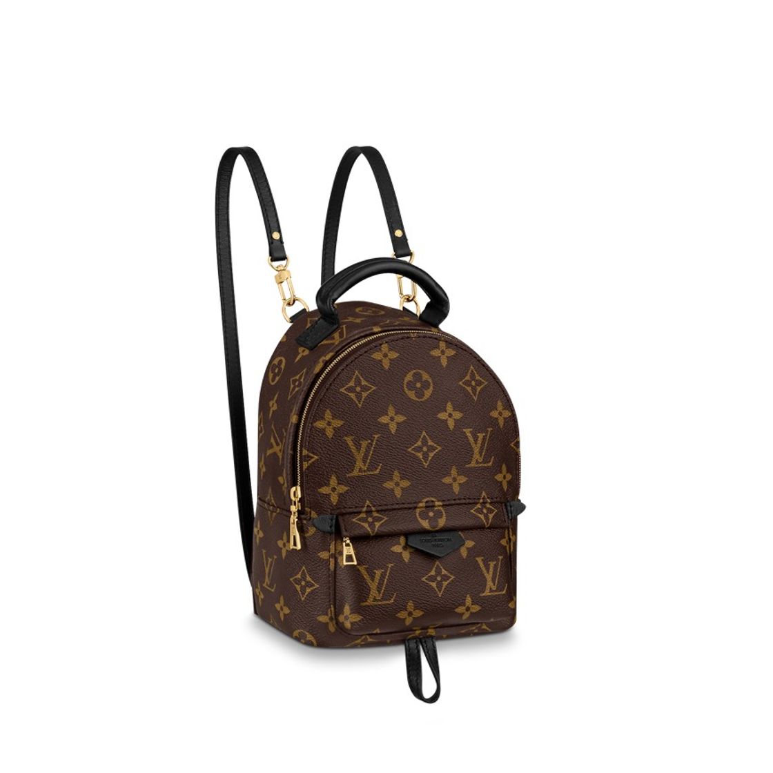 Fashion Palm Springs Mini Monogram in Brown 